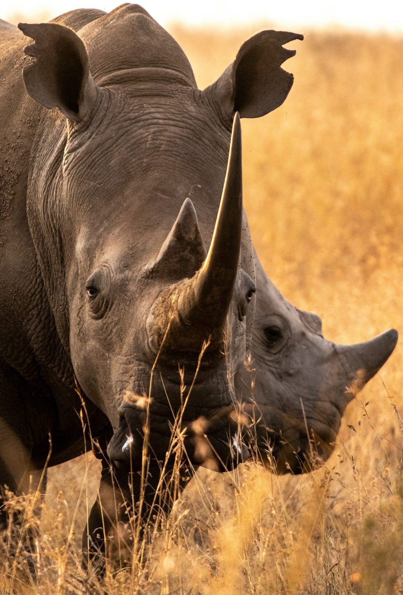 sam power VGWrEuP0Fmw unsplash scaled e1734929542407