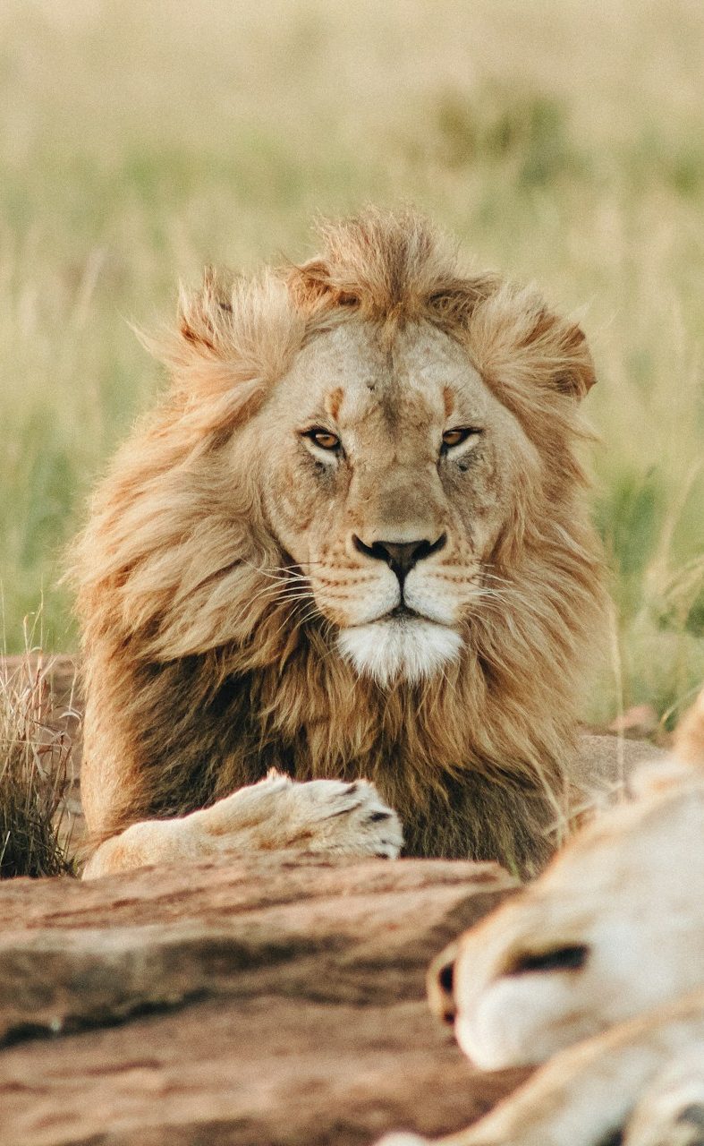 wade lambert VfdOzbZkW1w unsplash 1 e1734929307545